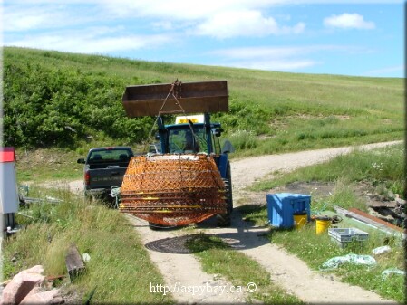 tractor moving snow crab traps