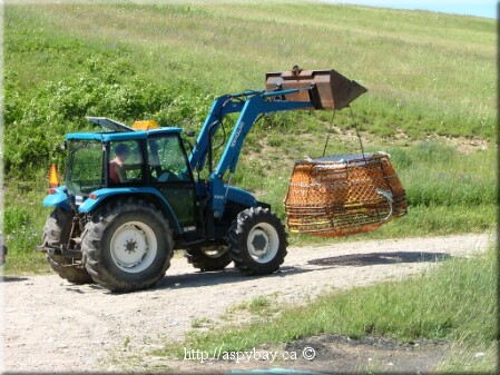 tractor moving snow crab traps
